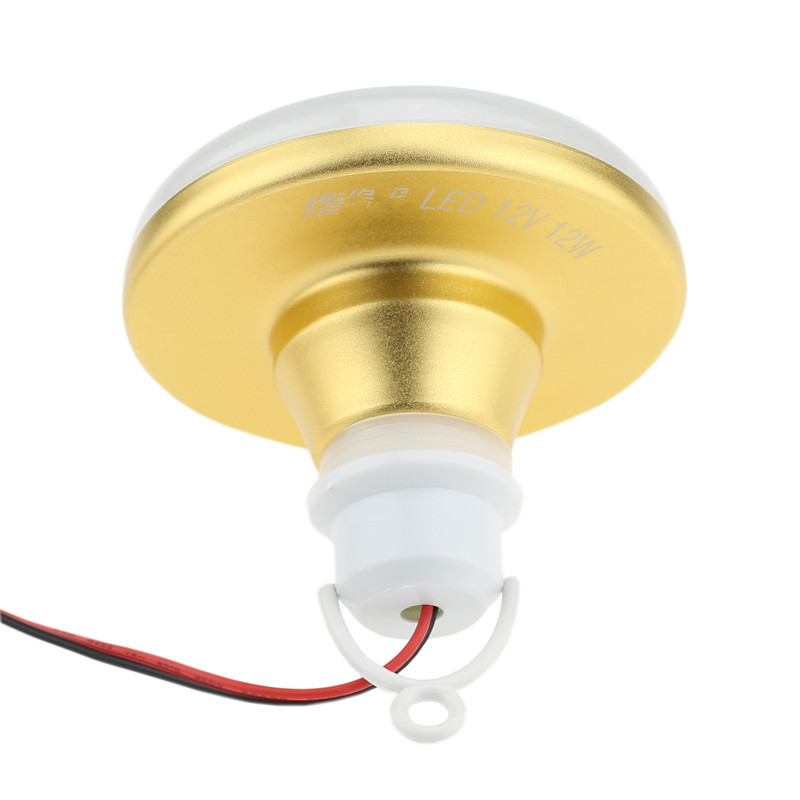 Bombilla LED de 12V a prueba d - Outdoor Lighting Vendors reseña y precio