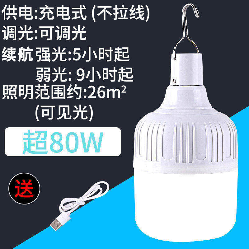 Bombilla LED recargable, luz d - Outdoor Lighting Vendors reseña y precio