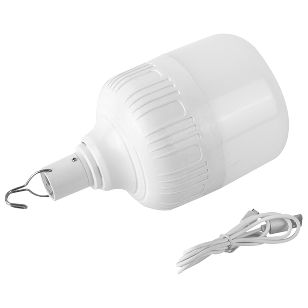 Bombilla LED de Emergencia par - Outdoor Lighting Vendors reseña y precio
